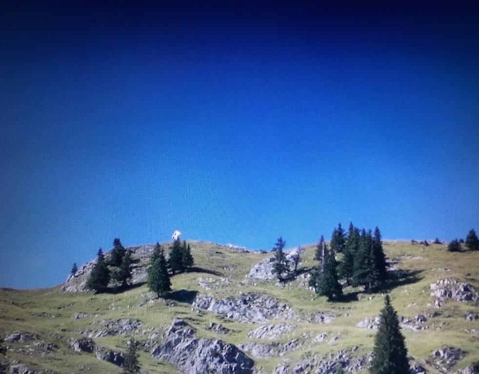 Haus Zudrell Lägenhet Vandans Exteriör bild